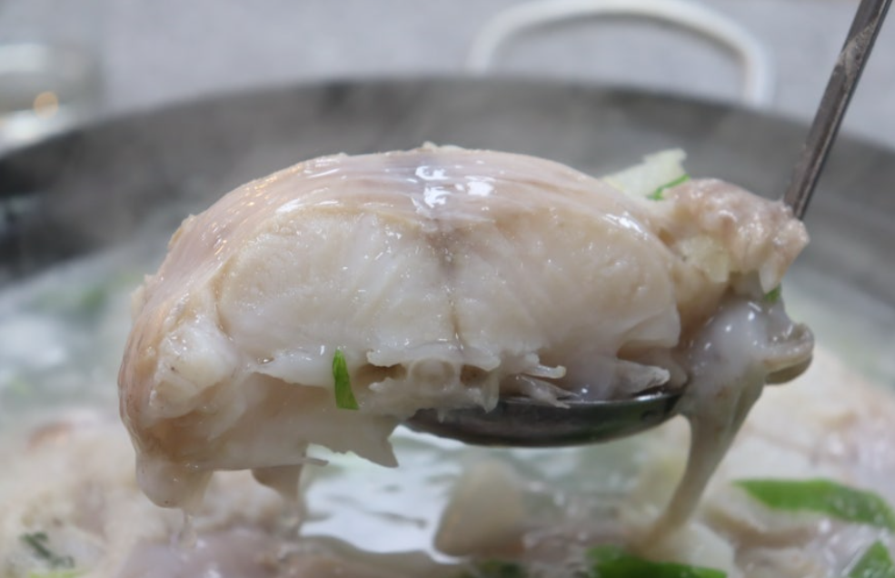 백반기행 고성 대구탕 물곰탕 맛집 위치